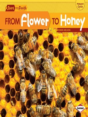 cover image of From Flower to Honey